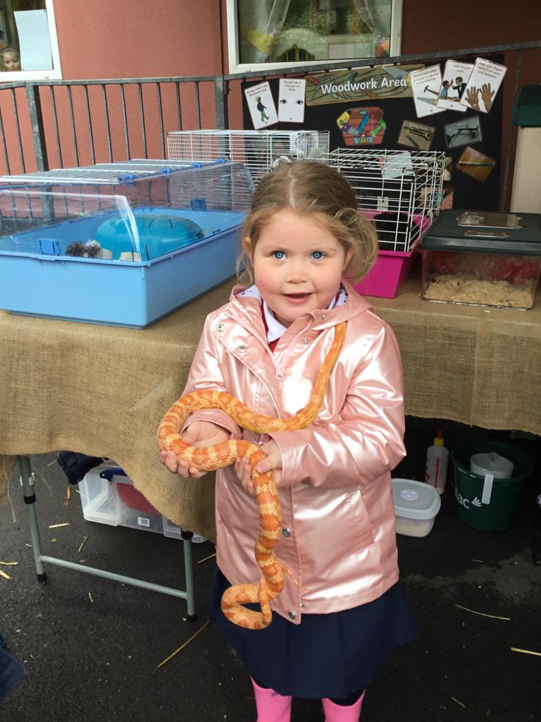 principalhfps's tweet photo. Great fun today when the zoo came to visit our nursery. @nurtureuktweets @nurtureni https://t.co/M58mNa6k4d