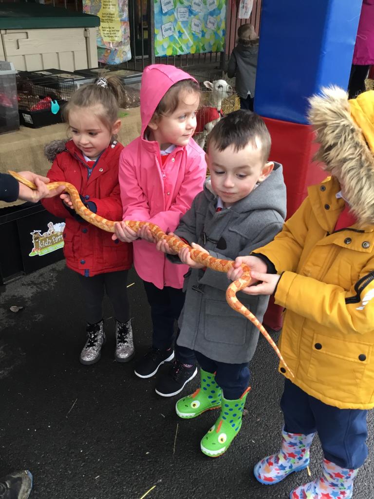 principalhfps's tweet photo. Great fun today when the zoo came to visit our nursery. @nurtureuktweets @nurtureni https://t.co/M58mNa6k4d