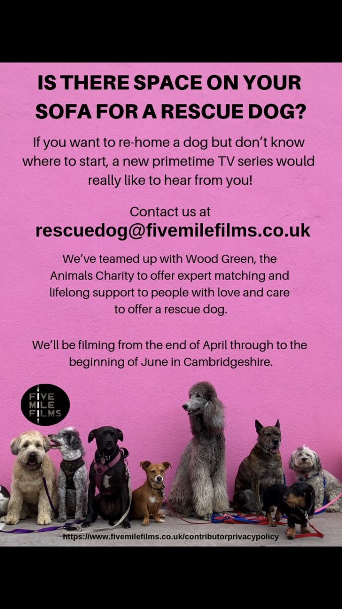 FFdogwalker's tweet image. A new Channel 4 prime time TV series wants to get our nation thinking about rescue dogs! rescuedog@fivemilefilms.co.uk or call 0117 203 3196 to find out more.