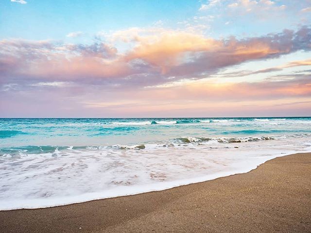 VISIT FLORIDA tweet media