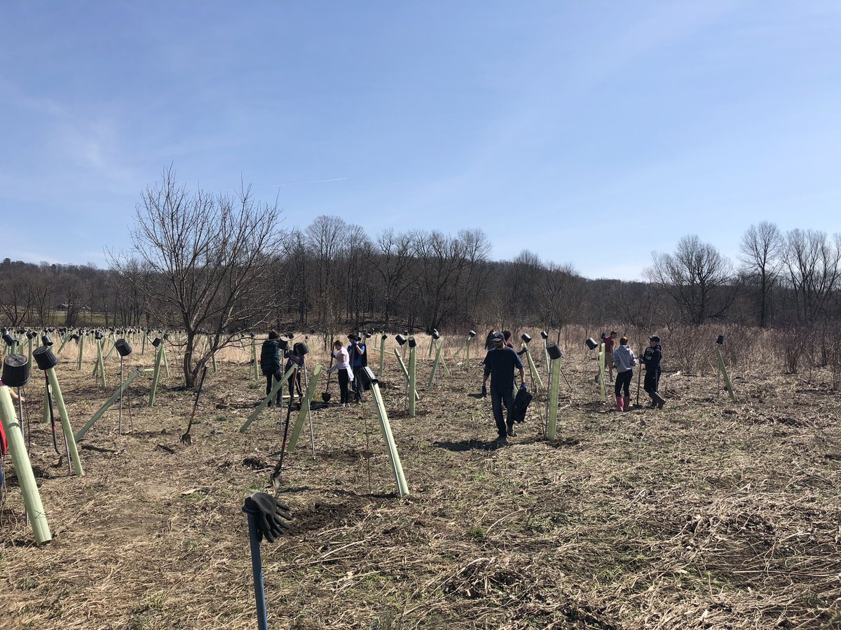 JonTallamy's tweet photo. 400 trees planted in Wantage Township with 25 @HPRwildcats Ss! Partnering with Wallkill Watershed and making a difference in our environment! Thank you Mr. Baker and Mr. Weisse for giving our Ss this opportunity. #Wildcatpride @HighPointSTEM @SeamusWCampbell https://t.co/lshMPpNkEk