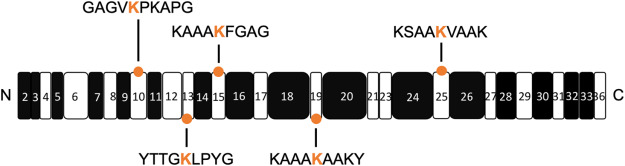 Anna Tarakanova tweet media