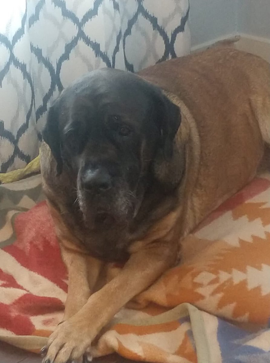 s_rving's tweet image. Counting down the days till it’s time to hit the road in the RV. #roadtrips #RVLife #Mykka