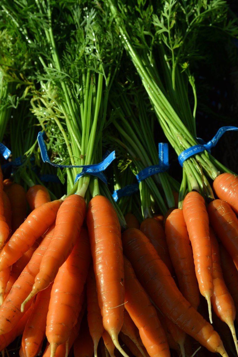 AileenWStewart's tweet photo. #writerscommunity #tenfacts about me. Fact #2 = I love to take pictures of vegetables. https://t.co/StNHAsECVv