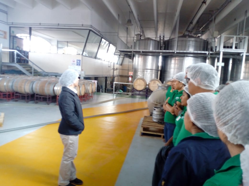 procesos_utvco's tweet photo. De visita empresarial en @queretaro aprovechamos y conocemos un poco de la industria vitivinicola en las cavas @freixenet. https://t.co/P11mrk7dK6