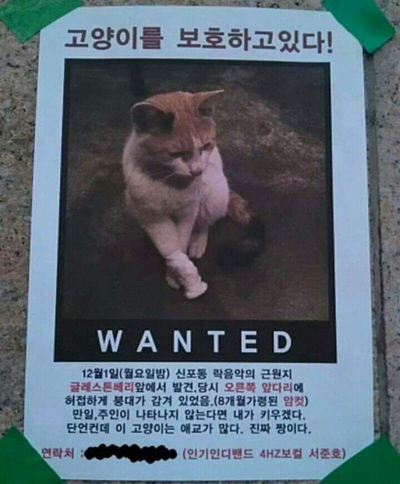 거리 벽에 붙은 어떤 전단지