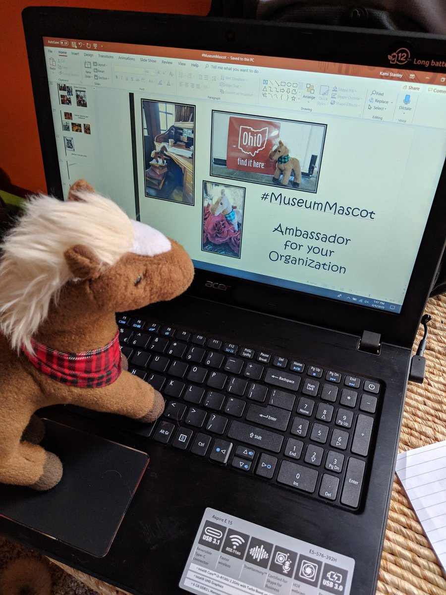 Jeeves_Reeves's tweet photo. Sorry I haven't been around much! My human hasn't been feeling well. Plus, she has been preparing for @ohiolha region 5 meeting this Saturday. It's all about me! (Well, her part is...)
@ReevesMuseum https://t.co/9QqFt7Hl8t