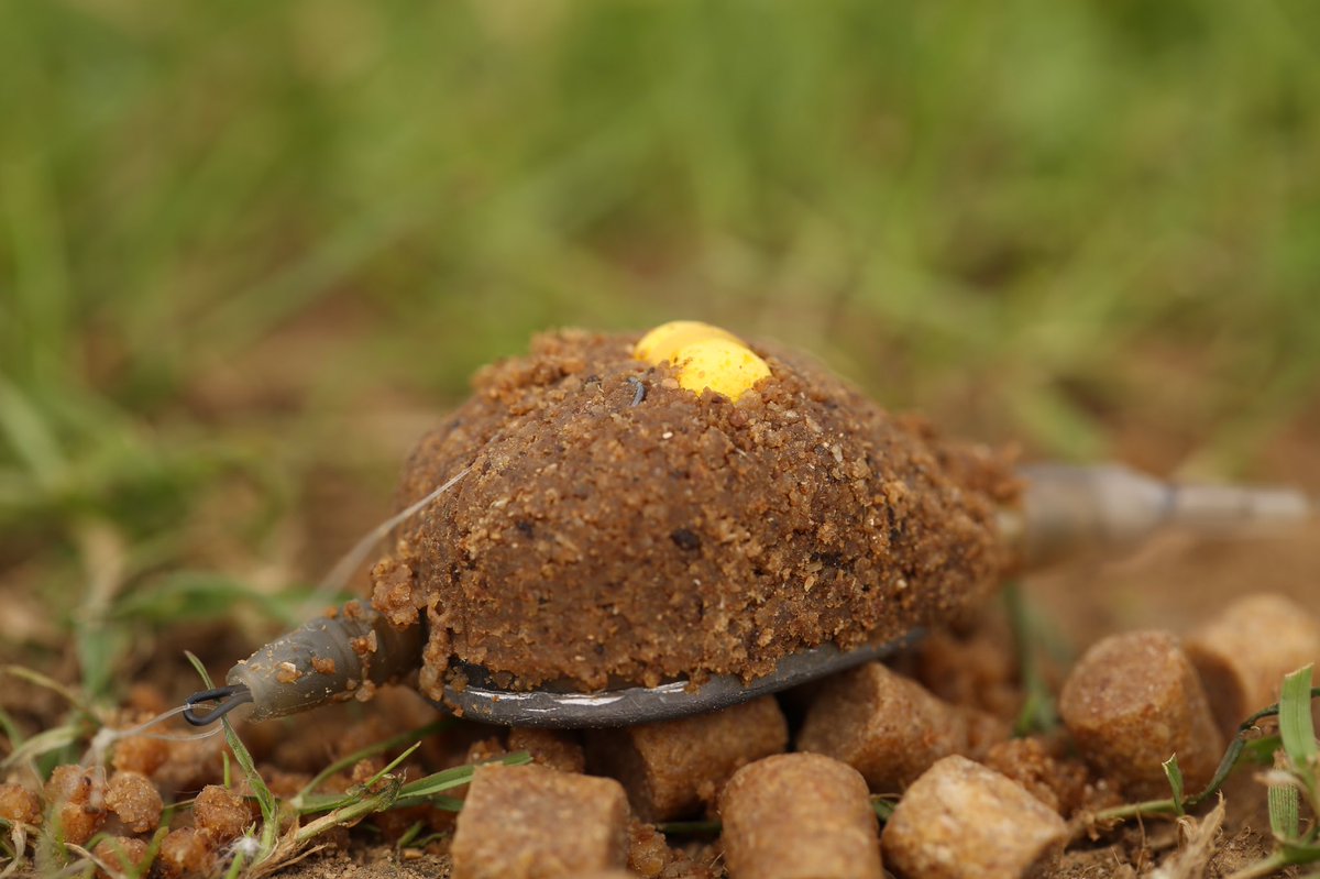 Mainline_Match's tweet photo. Itโs warming up, big beasts are on the move, and thereโs only one groundbait mix to stop them in their tracks! Strong fishy flavour, high fishmeal content, the finest ground pellets, with the perfect texture! #methodmix #feederfishing #carpfishing #groundbait #bait #mainlinematch https://t.co/LKYLMoaLWS