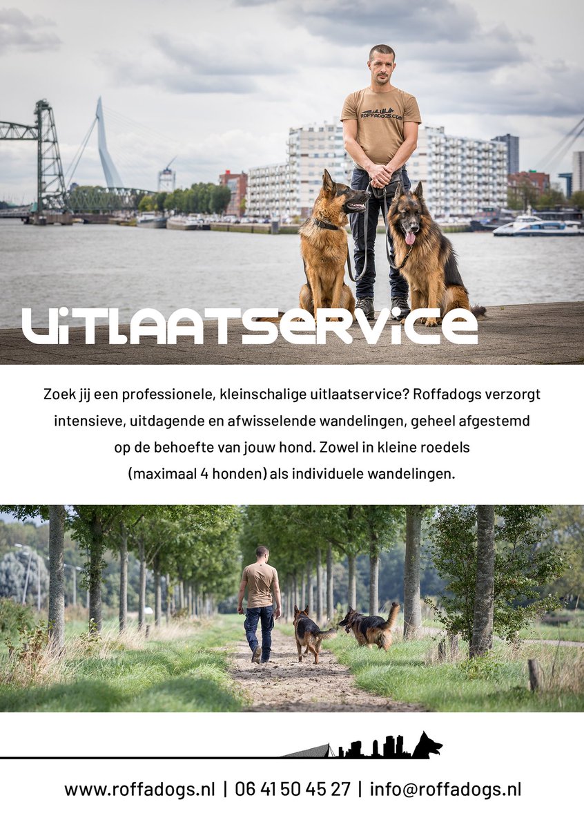 primowees's tweet photo. https://t.co/DXojic7ocJ is online! 
Zoek jij in #Rotterdam een professionele #hondenuitlaatservice, beschikbaar voor alle #honden? @Roffadogs biedt individuele én kleine groepswandelingen (max 4) onder professionele, gediplomeerde begeleiding. #hond #uitlaatservice #010 #dog https://t.co/gf8BFbRnEp