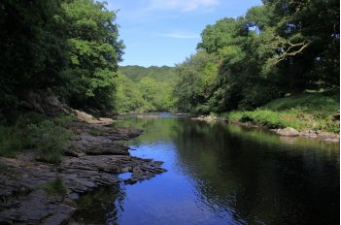 Yarnerhouse's tweet photo. Spitchwick (Deeper Marsh on maps) is a large, grassy area running along a bend in the River Dart and known for its natural beauty. Great for picnics and wild swimming. #nature #spitchwick #deepermarsh #lovedevon #naturebeauty #devonlife #relax #bedandbreakfast #weekend #woodland https://t.co/2o4T2ev5uK