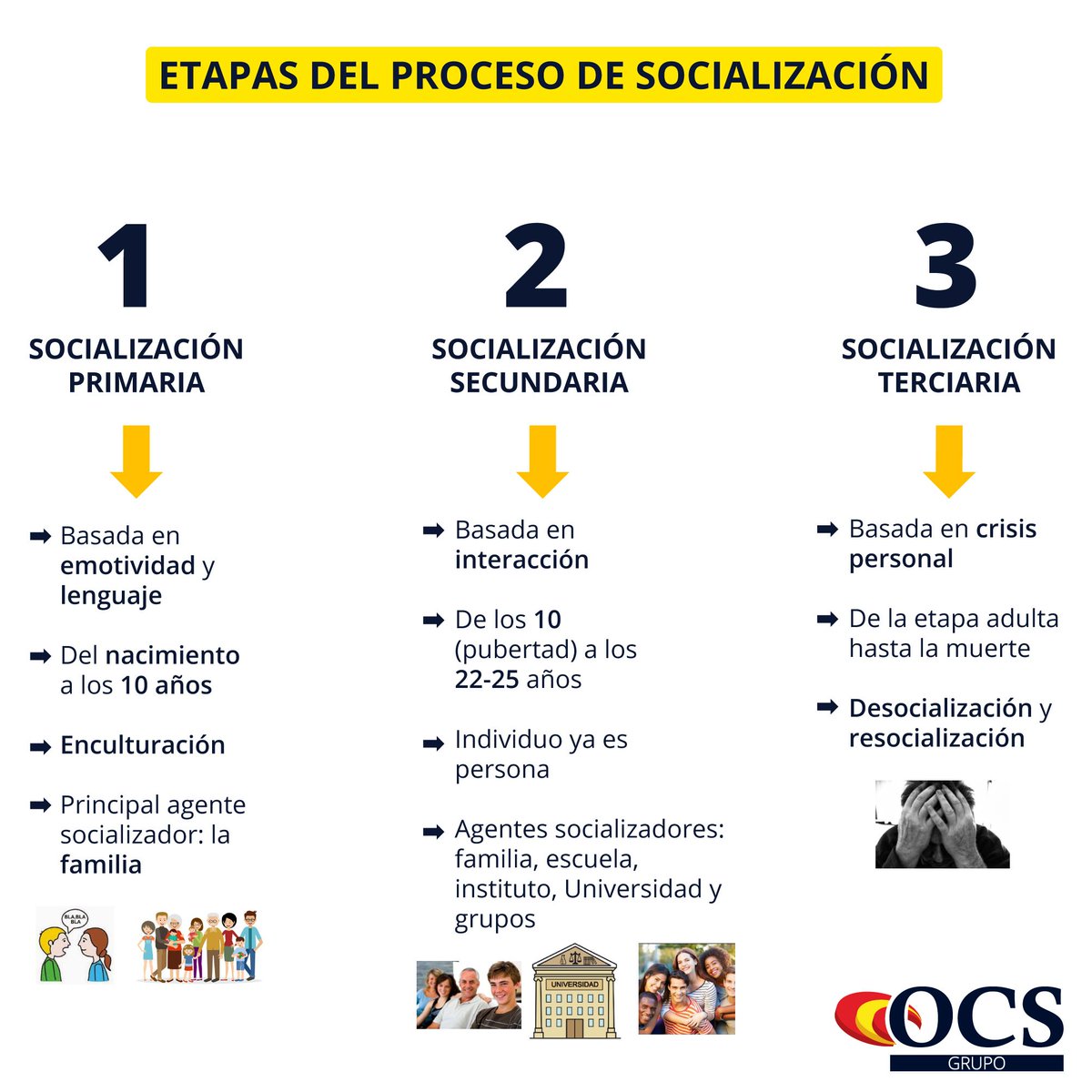 PROCESO DE SOCIALIZACIÓN Y SUS ETAPAS YouTube - Trilliontrees