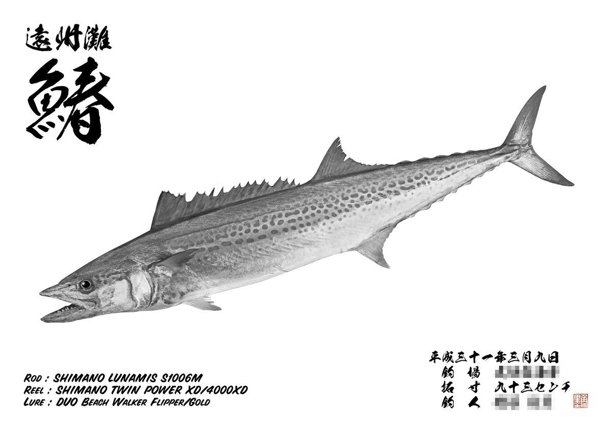デジタル魚拓 魚墨 در توییتر 本日のデジタル魚拓のご紹介は 墨魚拓 さわら 93 岡山ではなんともなじみ深い魚です 漢字で書いて 鰆 字のごとく 春に旬を迎える魚です 遠州灘の荒波にもまれた鰆は岡山の鰆とは また違った味わいがありそうです 魚 魚拓 デジタル魚拓 魚墨 در توییتر 本日のデジタル魚拓のご紹介は 墨魚拓 さわら 93 岡山ではなんともなじみ深い魚です 漢字で書いて 鰆 字のごとく 春に旬を迎える魚です 遠州灘の荒波にもまれた鰆は岡山の鰆とは また違った味わいがありそうです 魚 魚拓