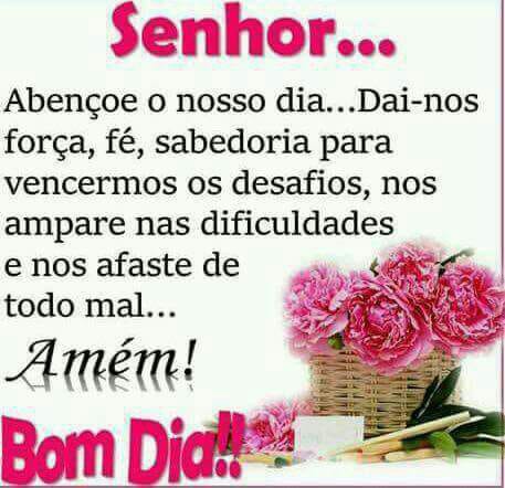 Vaquinha  #Betalab (@misterxm1) on Twitter photo 