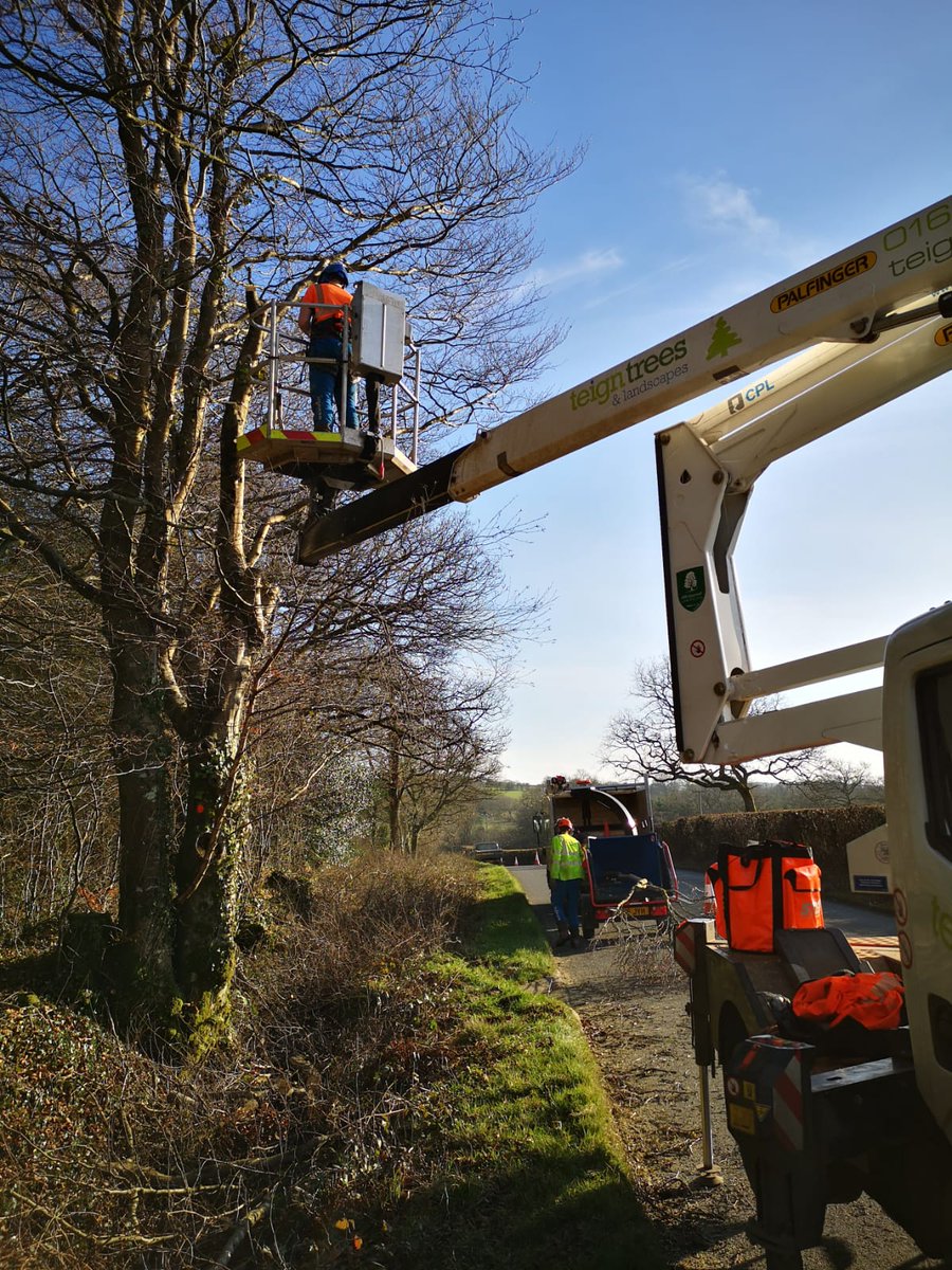 teigntrees's tweet photo. Check out these #treework shots sent in by Matt B, Josh N, Matt W & Tristan over the last few weeks. It's been another busy week in the world of Teign Trees & we're loving it. #teamworkmakesthedreamwork #teigntrees #treecrews #treeworkthursday #busybusy #arborists #treesurgeons https://t.co/qCBmVVgF1M