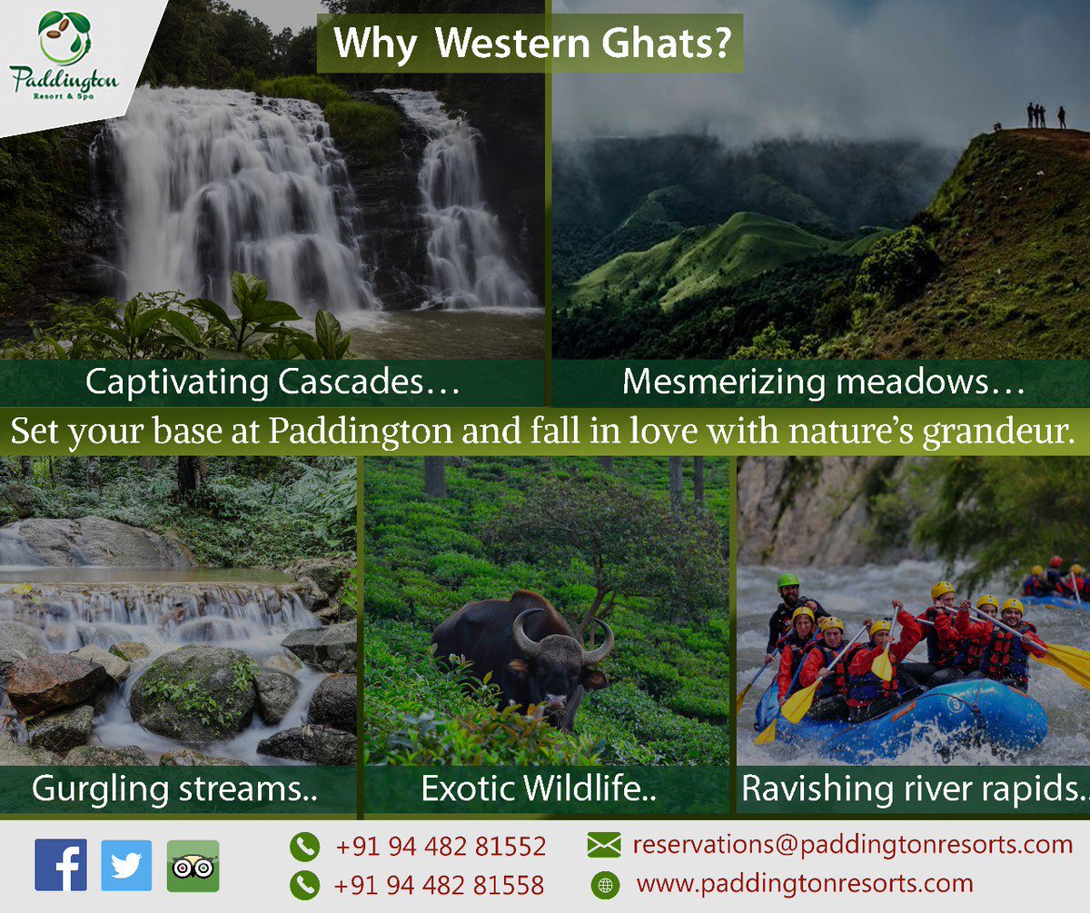 Resortcoorg's tweet photo. Explore Western Ghats, setting base at Paddington and fall in love with nature's grandeur. #Coorg's finest luxury resort &amp; spa, providing best tour packages for your tryst with the beauty of the hills. #Kodagu #travel #India #Madikeri #vacation #luxury #Paddington #resort #spa https://t.co/FBoOevhVnZ