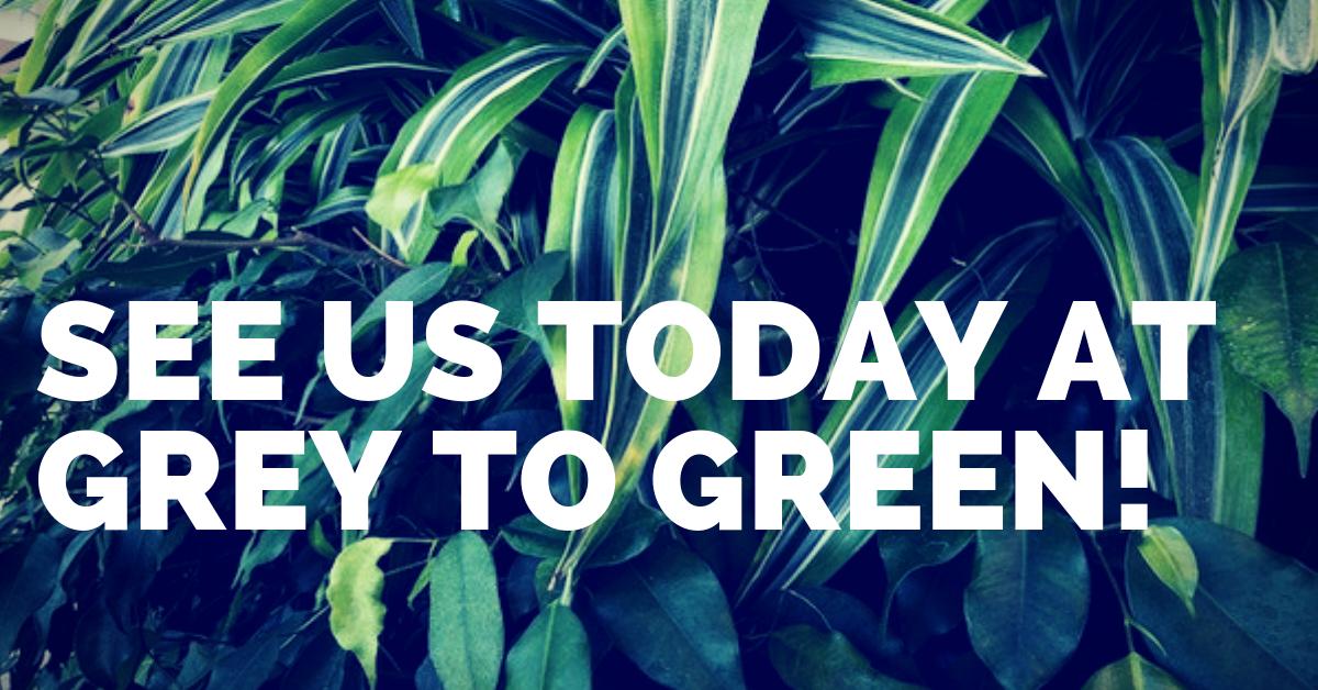 Nedlaw Living Walls tweet media