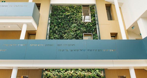 Nedlaw Living Walls tweet media