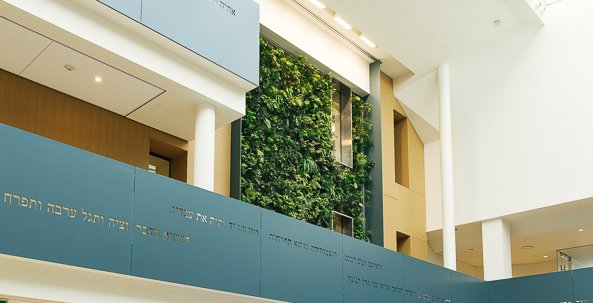 Nedlaw Living Walls tweet media