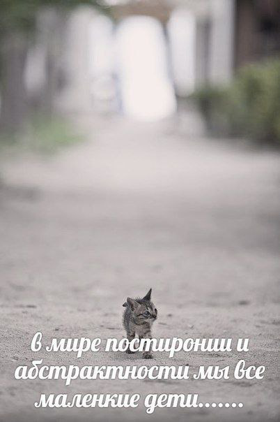 D3UCYqgW0AAS6Ex?format=png&name=small