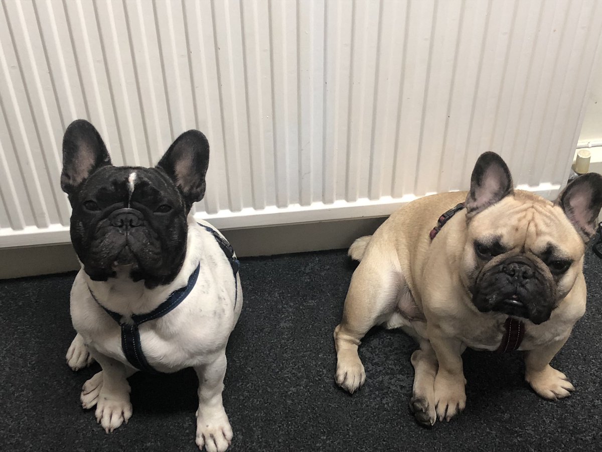 Beverley Theato tweet media