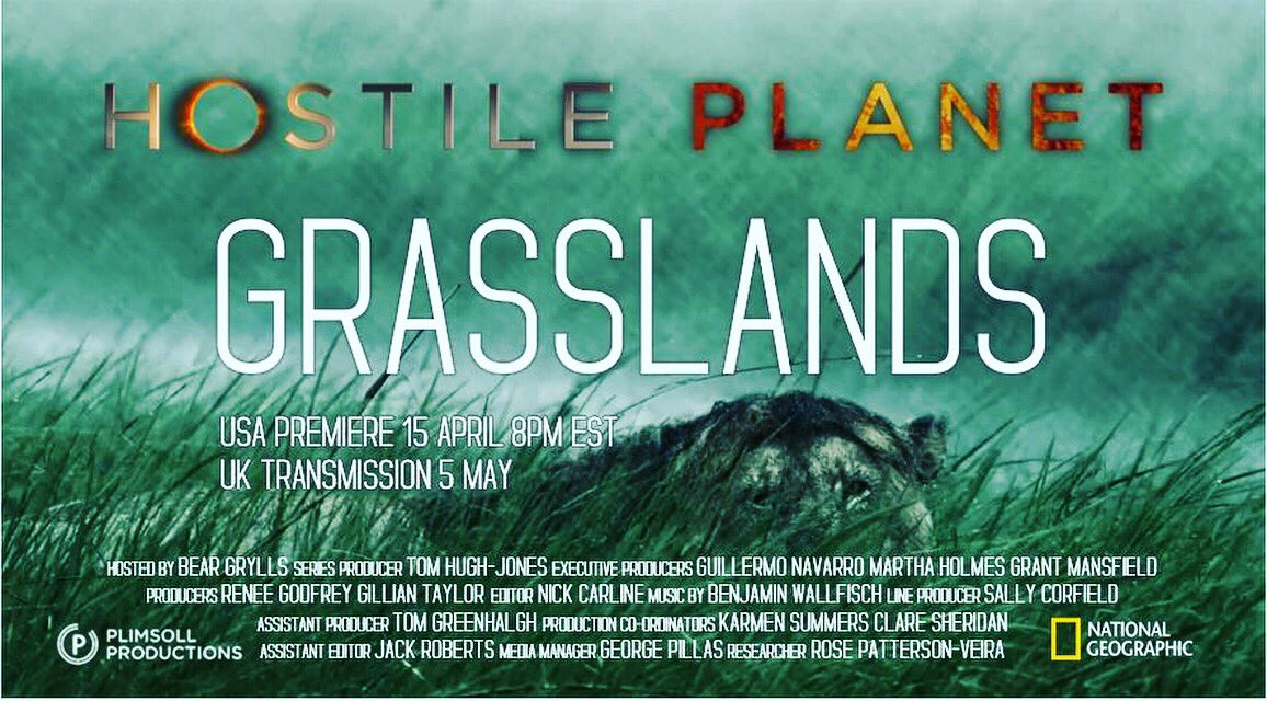 petecayless's tweet photo. After 3 years in the making Hostile Planet is now showing on Nat Geo! I worked on a number of the episodes including, Grasslands. Watch Nat Geo tomorrow night! #hostileplanet #natgeo #wildlife #baboons #hamadryas #plimsoll #beargrylls https://t.co/y8EBAc1Dmx