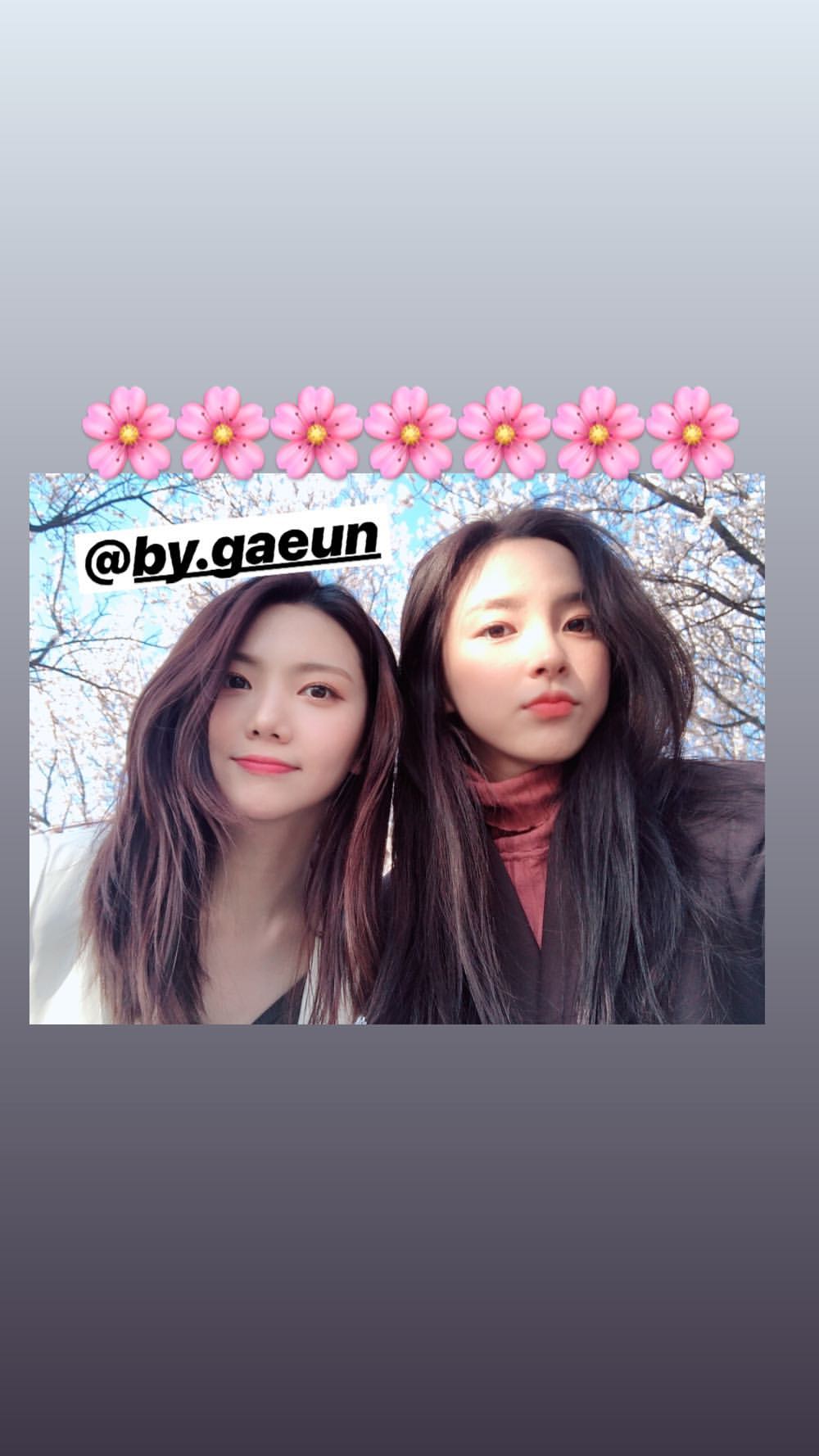 D3UEfqzW0AAB7Wn.jpg:large