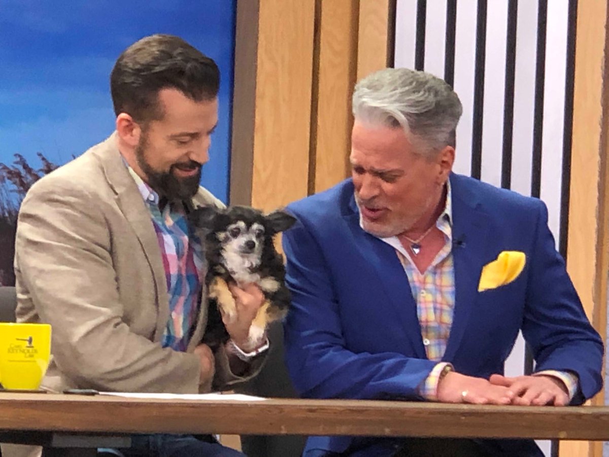 egenna's tweet photo. Vincent gives LuLu a reading on  Suncoast View this morning ⁦@VGBelieve⁩  #suncoastview https://t.co/elcDshgprr