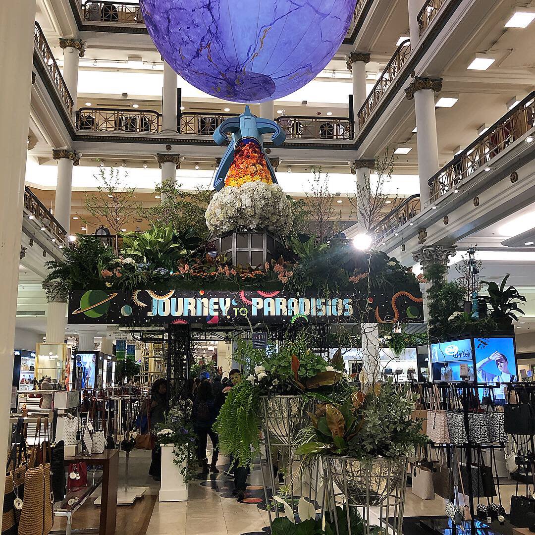 McFarDoug's tweet photo. Blast Off to Spring: Here are some pics from the recent Macy's Flower Show in Chicago. One more week before it closes! #macysflowershow @Macys @McFarDoug #flowers #indoorplants #plants #interiorlandscaping #flowershow #chicago #spring #2019 #april #mcfarlanedouglass #mcfardoug https://t.co/3vM9cQVrCV