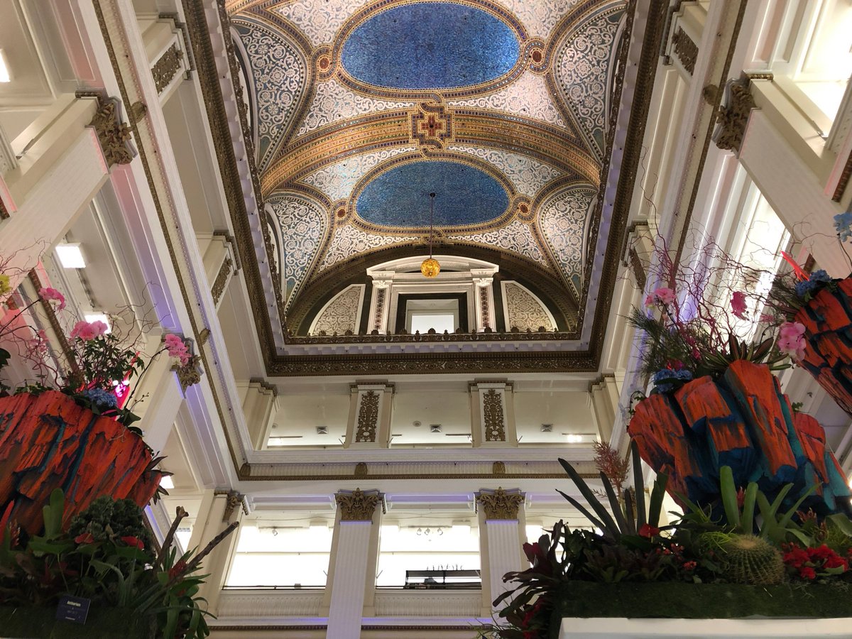 McFarDoug's tweet photo. Blast Off to Spring: Here are some pics from the recent Macy's Flower Show in Chicago. One more week before it closes! #macysflowershow @Macys @McFarDoug #flowers #indoorplants #plants #interiorlandscaping #flowershow #chicago #spring #2019 #april #mcfarlanedouglass #mcfardoug https://t.co/3vM9cQVrCV