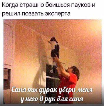 D3UEz_fW4AAACdg?format=jpg&name=small