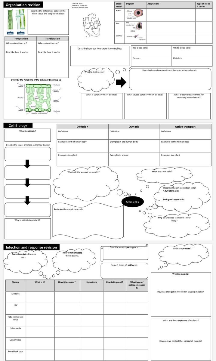 MrsSingleton's tweet image. New link available to the whole of AQA biology trilogy combined revision sheets. Ecology was added moments ago!
docs.google.com/file/d/1kfVmH4…