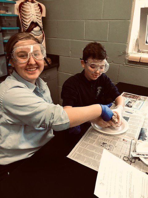 SPSTigers's tweet photo. Eighth graders dissect a mammal heart in science lab this week. #Science #HandsOnLab #ScienceLab #JuniorHigh https://t.co/fEc7M379yl