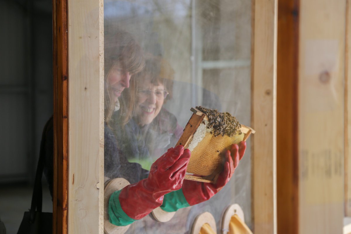 quince honey farm tweet media