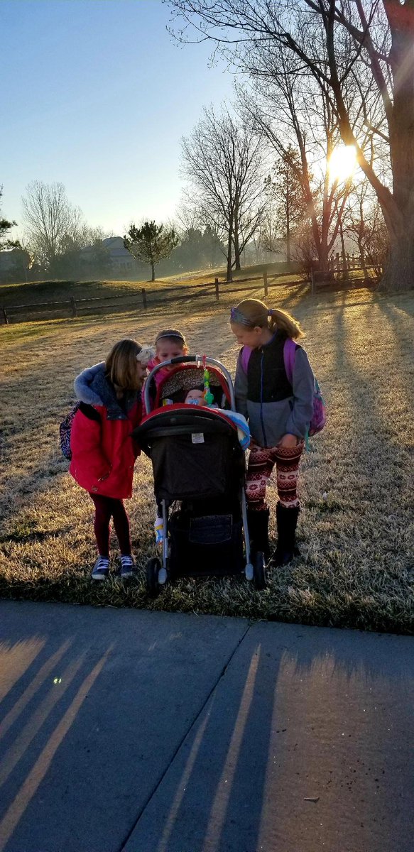 credereandshare's tweet photo. #ODE TO THE #DEFEATED...MY #TRIBE: #short #story on the #walk to #school this a.m.: "The one who #tried and so challenged #life by calling checkmate to its best attempt to suppress, discourage, and undermine your brave heart."  https://t.co/7MNXQO63oy #ThursdayMotivation #inspire https://t.co/nOPvzxwCKT