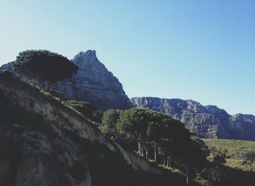 Wildlife_EU's tweet photo. Maintaining natural capital is vital for the function of Biosphere. A new briefing from the European Environment Agency analyses how to plan for ecosystem restoration, which in turn can enhance biodiversity, support green economy and create job opportunities. https://t.co/LHU0maSJLa