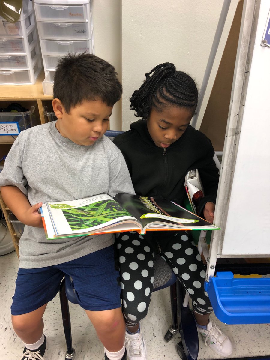 Millerbn2010's tweet photo. Students buddy read to learn about the life cycle of a butterfly! #wearedegan https://t.co/bctV0dfPYo
