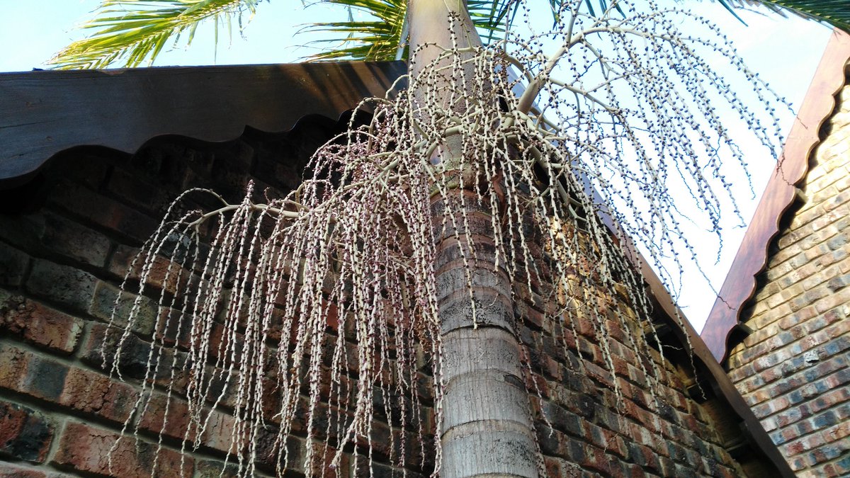 cnelson1884's tweet image. 