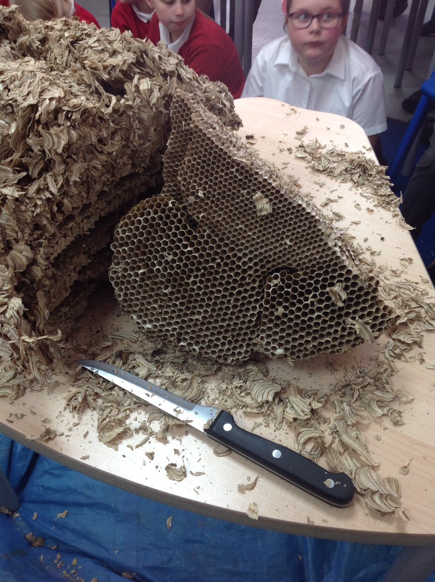 Mrs Jones tweet media