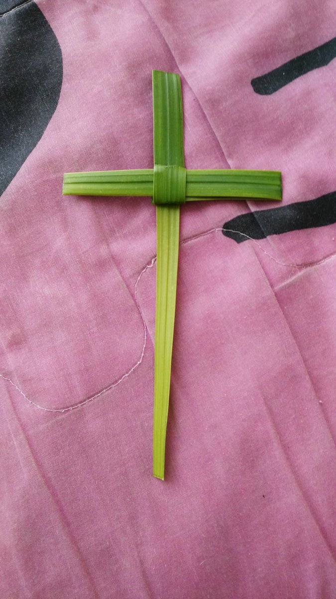 cnelson1884's tweet image. 