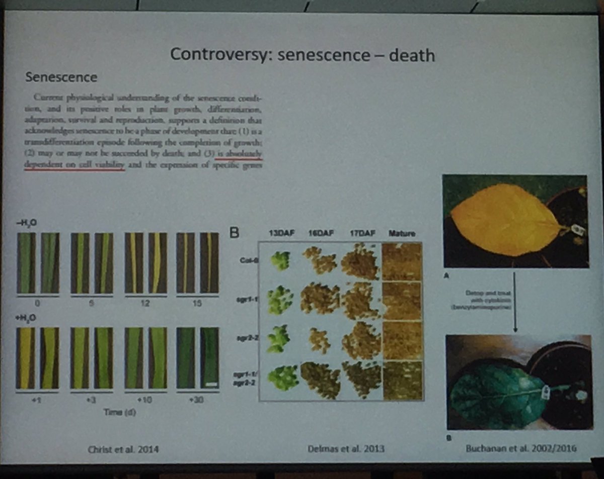 tremendously detailed concluding remarks #senconf2019 @plantsenescence by Stefan Hörtensteiner wrapping up literally everything, pointing out major questions/definitions