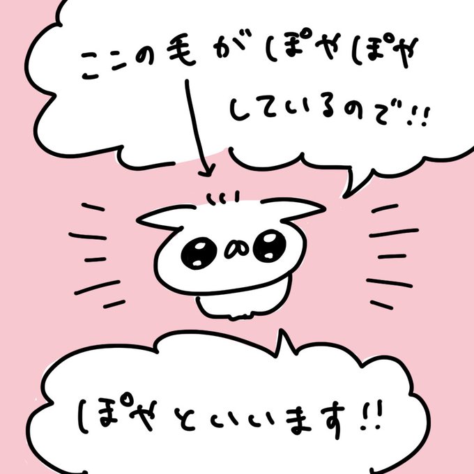 うさぎ帝国 ライバル総選挙開催中 さん の人気ツイート 6 Whotwi グラフィカルtwitter分析 うさぎ帝国 ライバル総選挙開催中 さん の人気ツイート 6 Whotwi グラフィカルtwitter分析