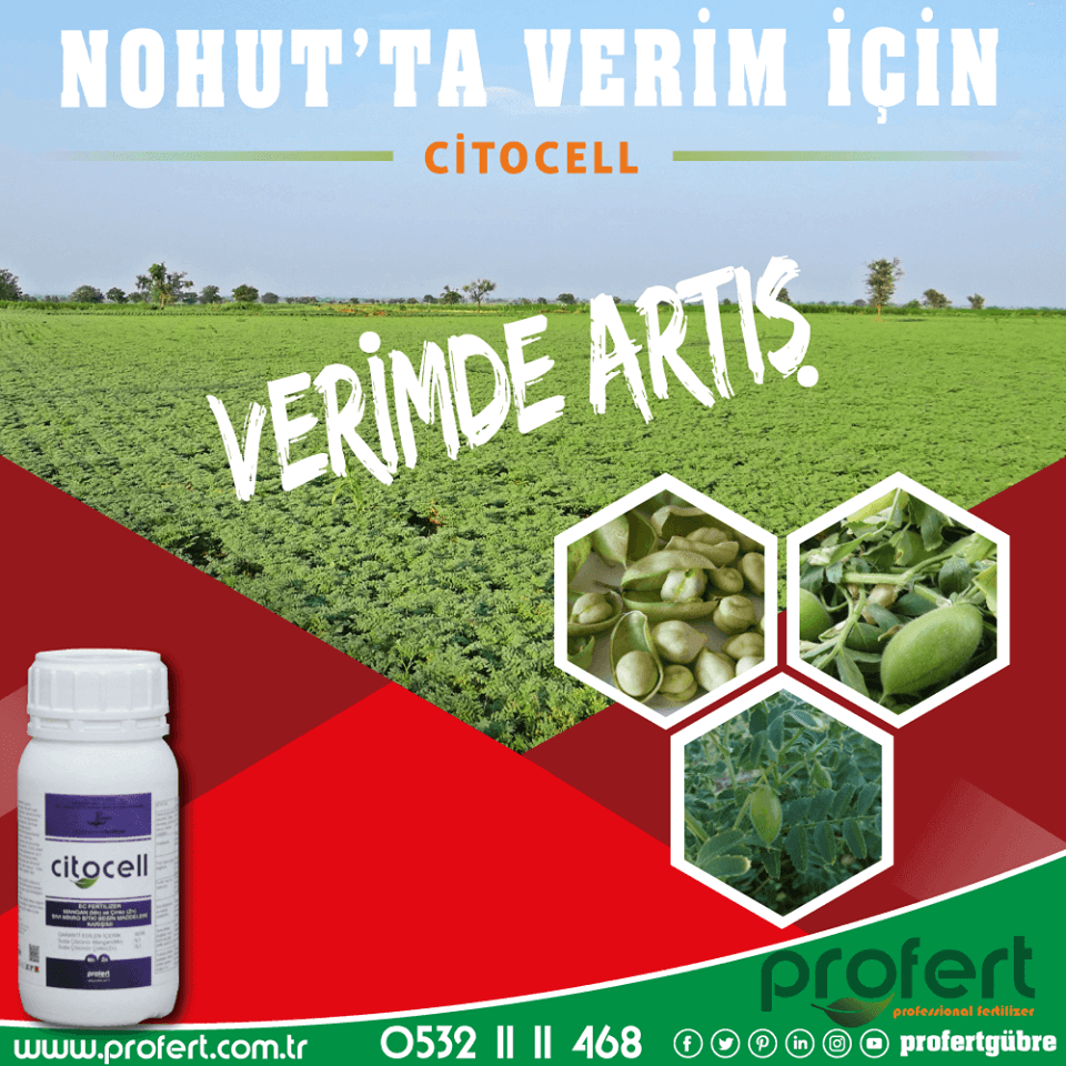 Profertgubre's tweet photo. Nohut'ta verim almak için #citocell farkını test edin.
🌍https://t.co/OtLd7GjyRf 📲0532 11 11 468
#profert #profertgübre #profertfertilizer #nohut #SeffaflıktanKorkma #FByeSuikast4Nisan2015 #BirKalpMama #tarım #çiftçi #fertilizer #gübre #agro #agriculture #nohutyetiştiriciliği https://t.co/Y85K4t9fD9