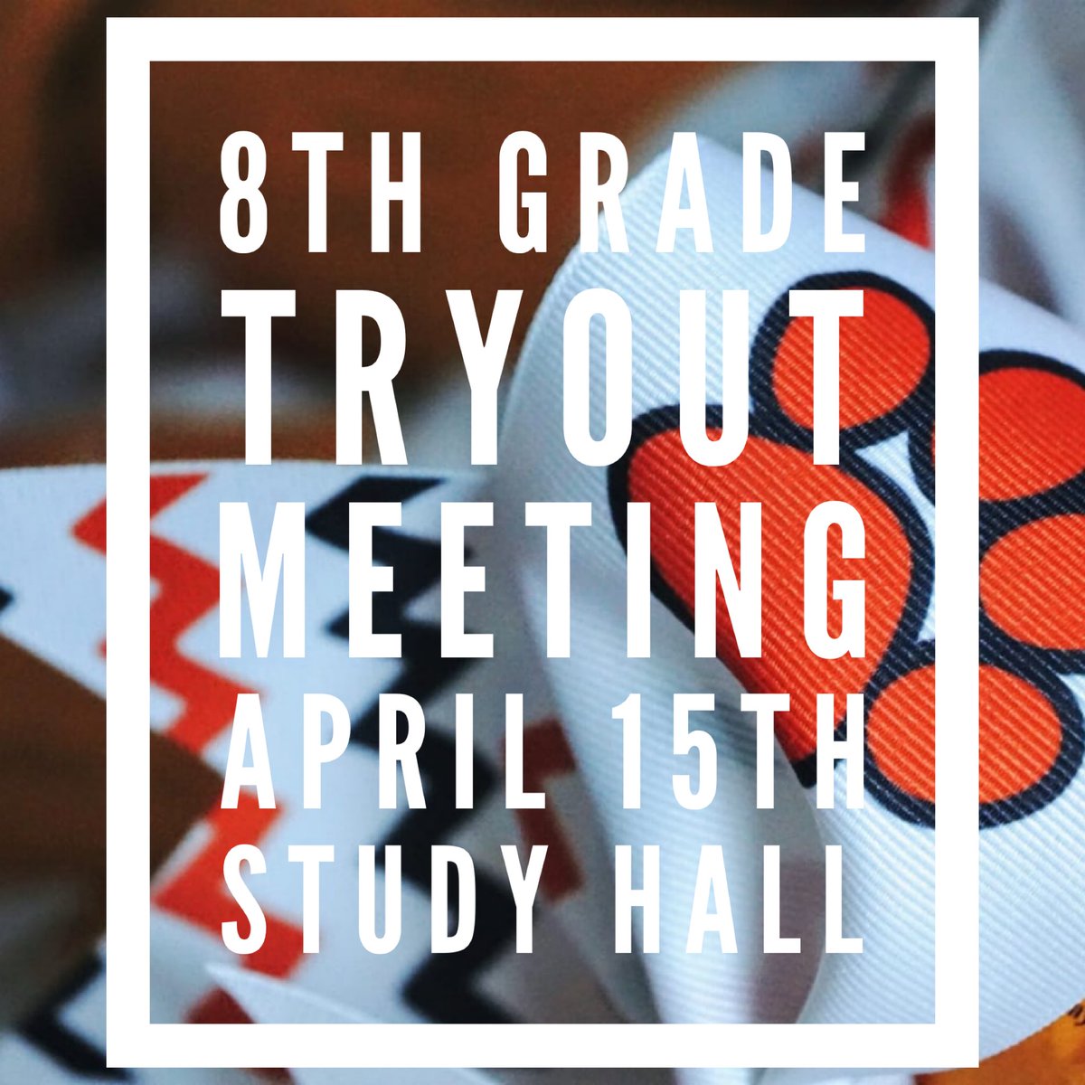 Waterloo HS Cheer tweet media