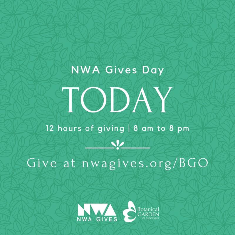 Liz_Hogan's tweet photo. Today's the day! We need to raise $2,500 by 8 pm tonight for improvements to our Children's Garden as part of NWA Gives Day, &amp; we need your help to make it happen. Please visit https://t.co/vEUk7X50TR and help us hit our goal. Your gifts are essential to helping our garden grow. https://t.co/OPr9NGfc74