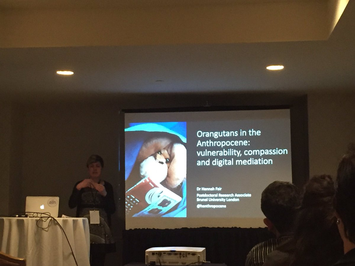 Fascinating presentation from @hanthropocene representing the @GLO_ERC project. Scrutinising the Iceland banned Xmas ad and how the video of Rang Tan mobilised multispecies support, but is not sufficient for telling the multi-species stories of human-orangutan relations  #aagDC