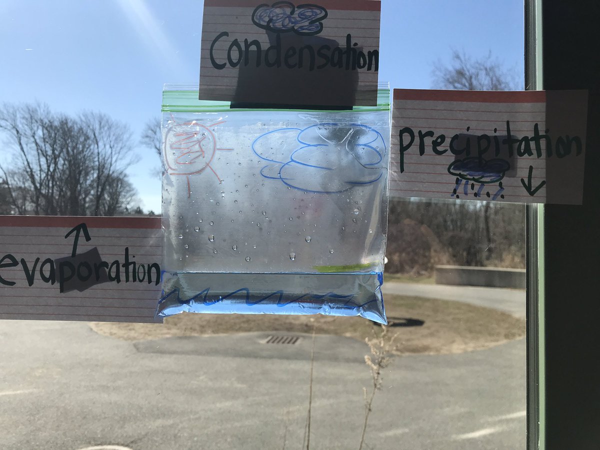 jperrotti_efs's tweet photo. The kids are excited to see the water evaporating and beginning to form condensation! #stem #theylovescience @EastFairhaven @Fairhaven_PS https://t.co/ZeRVzCykgm