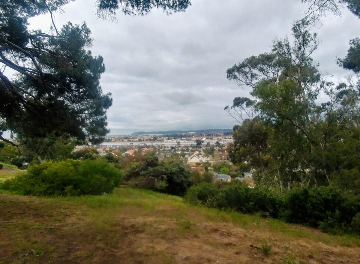 Thanks for the views on my morning run #SanDiego 

#Run #Trails #Anywhere #outside #trailrunning #dirt #OptOutside