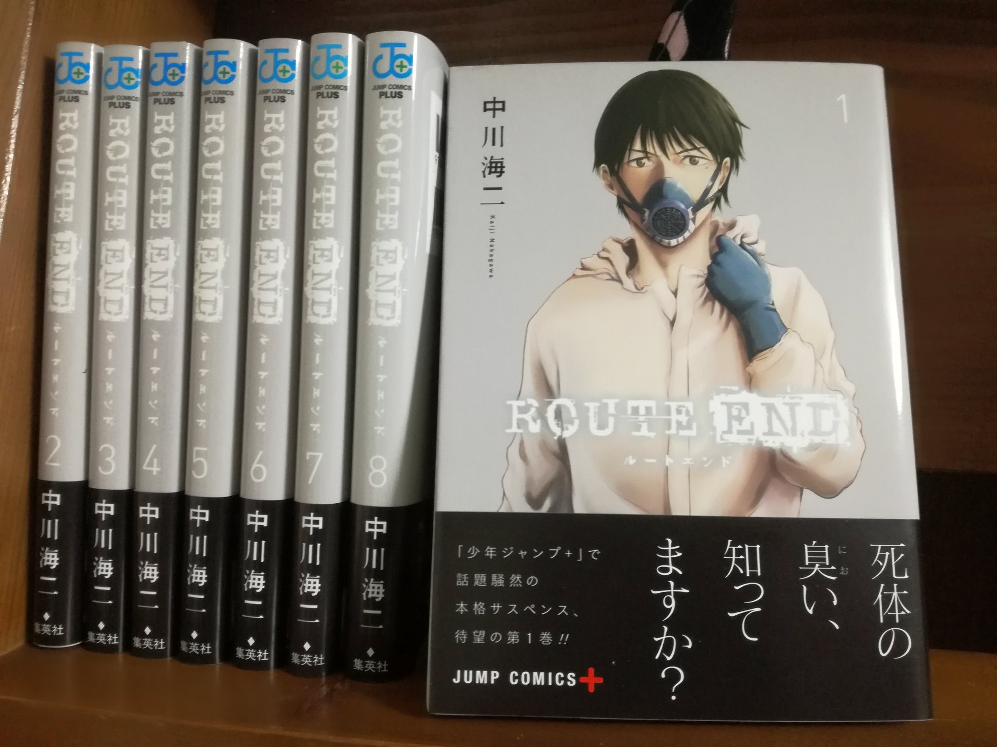 かさむかさむマンガ代 Route End 中川海二 366 365は生と死と救いを描く名作 遺体で End の文字が書かれる連続猟奇殺人 特殊清掃業に携わる春野は事件に足を踏み入れる 徹頭徹尾 救い がテーマ サスペンスではあるけれど犯人が誰かはそれほど