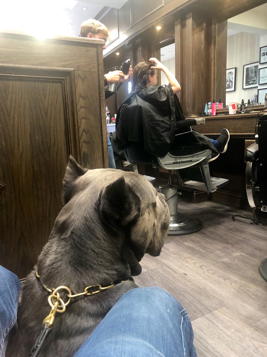 Thanks <a href="/SharpesBarbers/">SHARPES BARBERS</a> 

The best 💪🏽