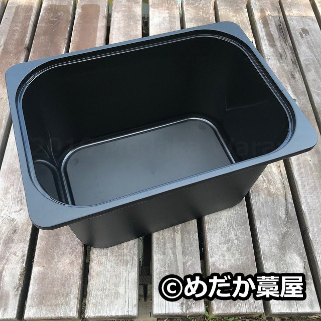 メダカ容器 メダカ容器